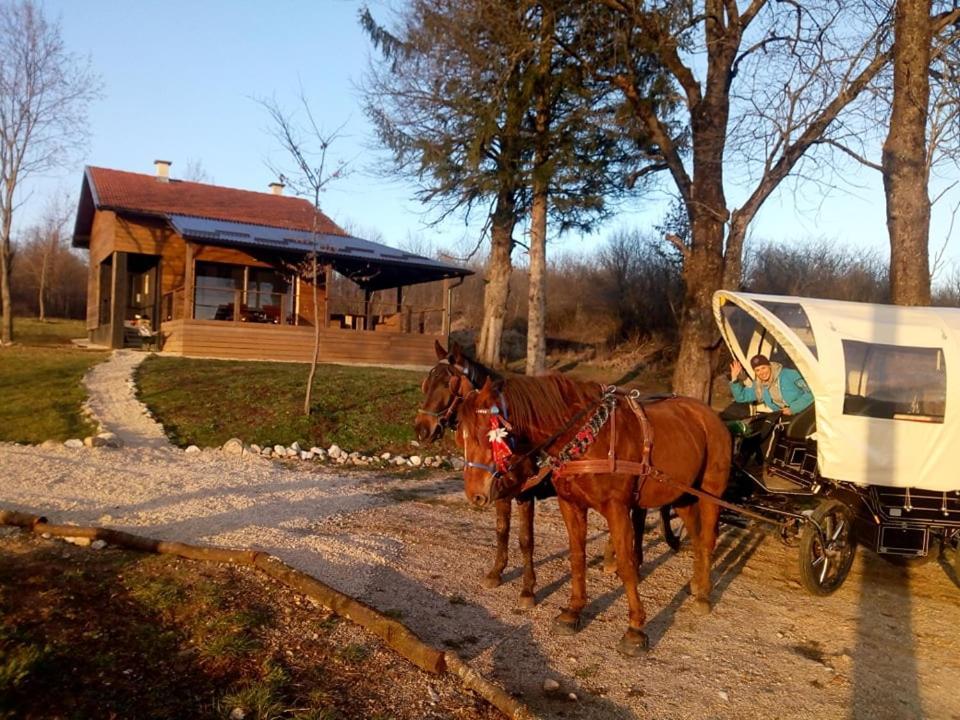 Evergreen House Plitvice 拉科维察 外观 照片
